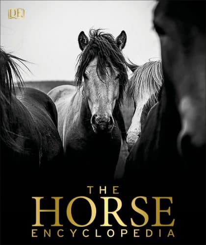 Horse Book – An educational gift for horse lovers
