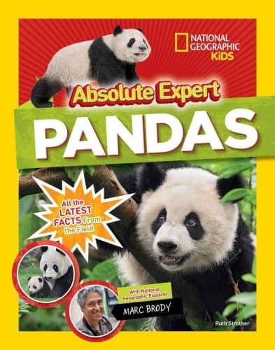 Panda Book – An educative or entertaining panda gift