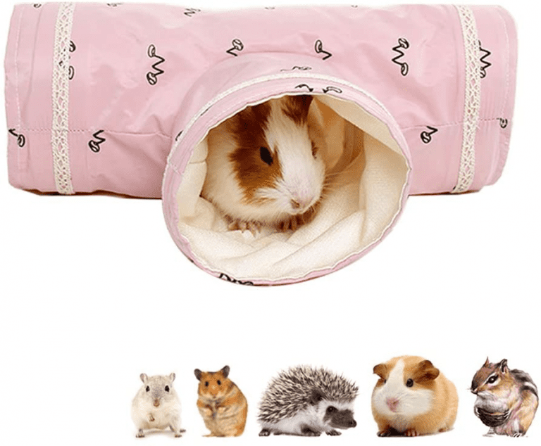10 Heartfelt Gifts for Hedgehog Lovers