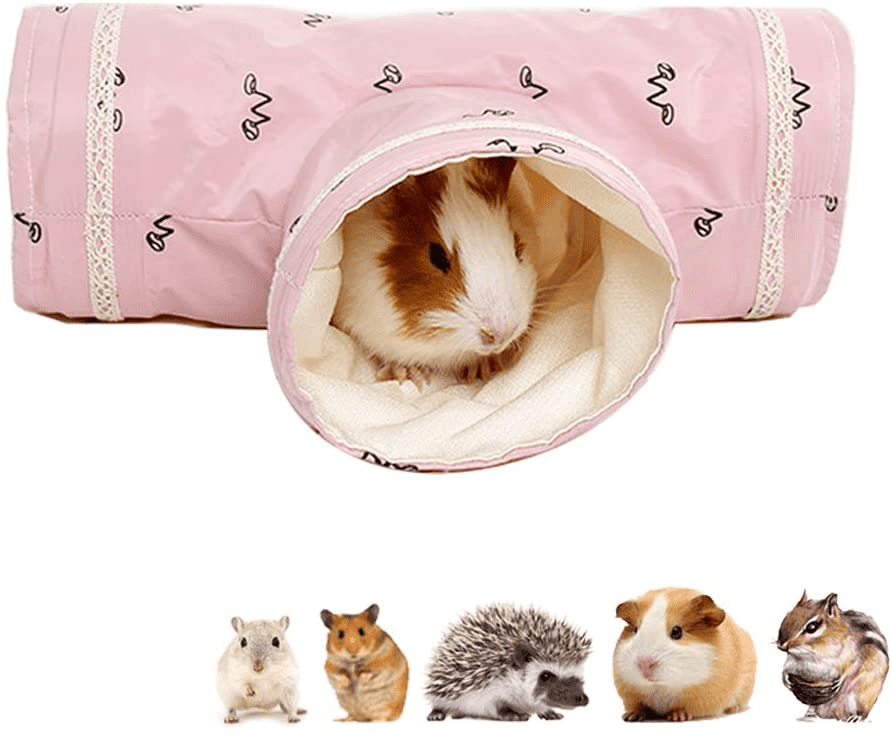10 Heartfelt Gifts for Hedgehog Lovers