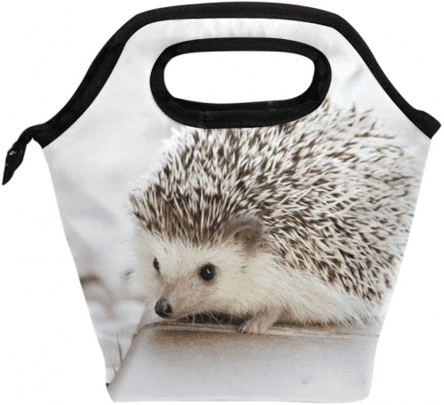 Insulated Lunch Bag – Hedgehog gift ideas