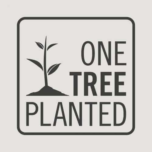 One Tree Planted – An eco friendly Groot present
