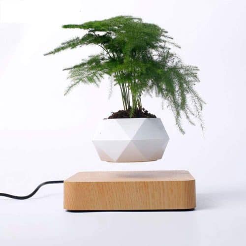 Levitating Air Bonsai Pot – A unique gift that starts with the letter L