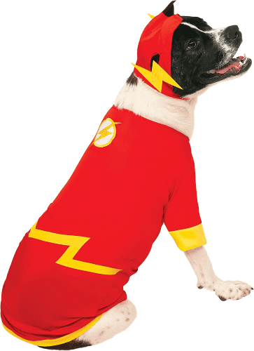 Dog Costume – Flash gift for Fido