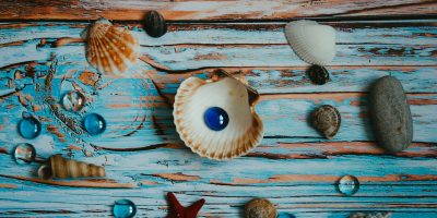 10 Seashell Gifts for Seashell Lovers