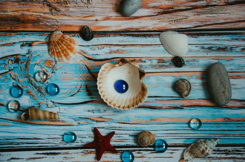 10 Best Gifts for Seashell Lovers That Will Have Them Dreaming of the Beach
