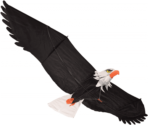 Bald Eagle Kite – Fun and exciting eagle gifts for kids