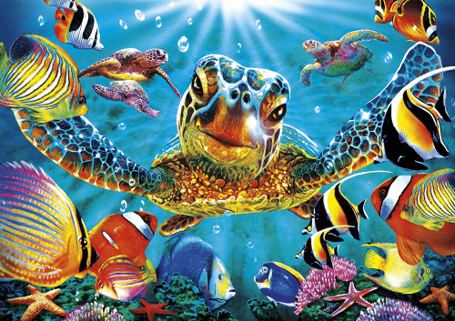 Colorful Puzzles – Sea turtle themed gifts for kids
