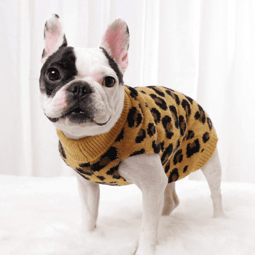 Funny Dog Sweater – Leopard presents for dogs