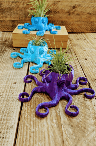 Octopus Garden – Gifts for octopus lovers