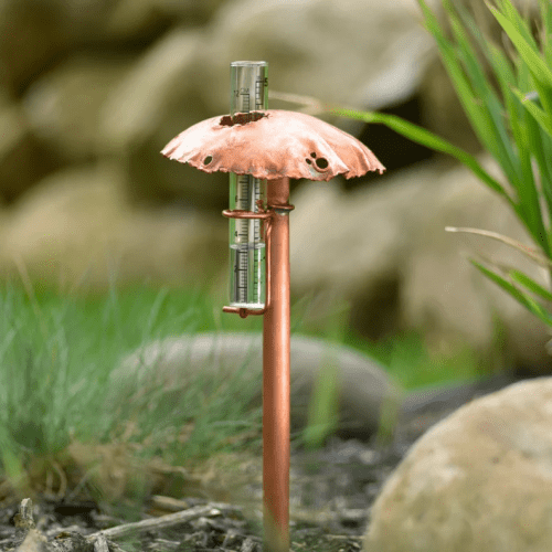 Rain Gauge – Gifts that start with the letter R for the garden