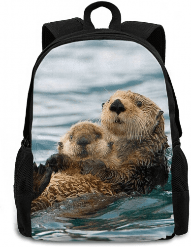 School Backpack – Otter themed gifts for kids