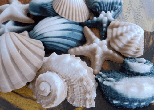 Seashell Soaps – Gifts for seashell lovers