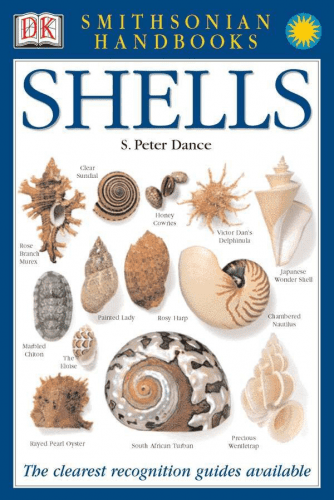 Shell Guide – Gifts for seashell collectors