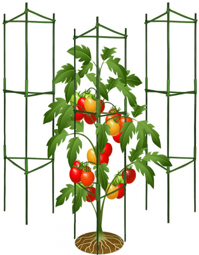 Tomato Cage – Gifts that start with T for gardeners