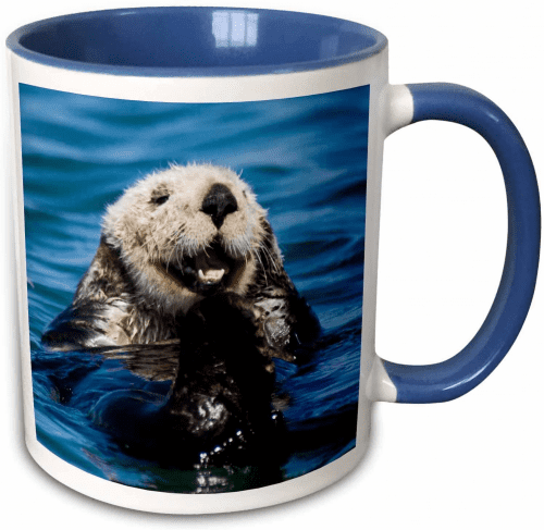 Whimsical Otter Mug – Otter themed gifts
