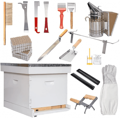 Beehive Starter Kit – Science gifts for adults