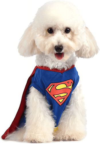 Canine Costume – Superman gifts for mans best friend