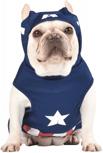 Captain America Dog Outfit – Captain America presents for dogs