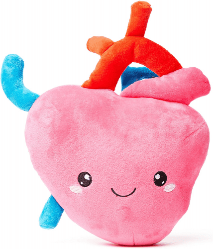 Body Part Plush – Funny gifts for surgeons