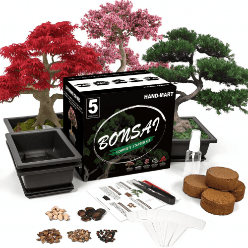 Bonsai Kit – Romantic Naruto gifts