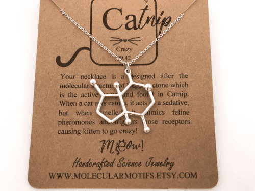 Catnip Molecule Necklace – Christmas gifts for veterinarians
