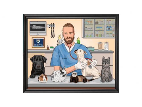 Custom Veterinarian Portrait – Unique veterinarian gifts