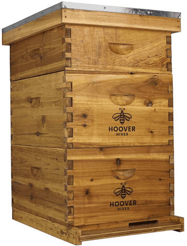 Beehive – Presents for beekeepers