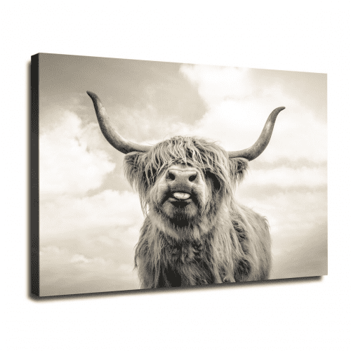 Decorative Wall Art – Highland cow gifts