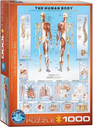 Human Body 1000 Piece Puzzle – Surgeon gifts for puzzle lovers