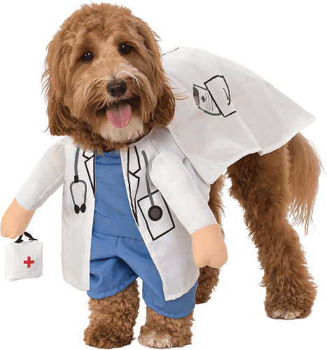 Surgeon Pet Costume – Surgeon gift for pets