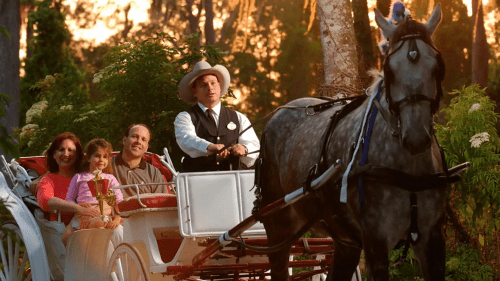 Disney Carriage Ride Through Ft Wilderness – Disney horse experiences