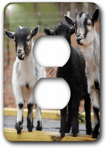 Lightswitch Cover – Goat gifts for home decor