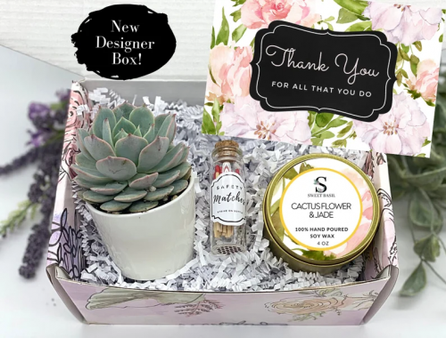 Thank You Plant Gift Basket – Thank you gifts with longevity