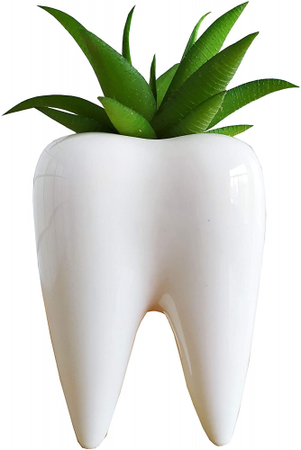 Tooth Planter – Funny gifts for dental hygienists