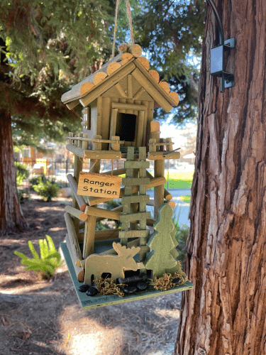 Artsy Bird House – Wildlife gifts for tree lovers