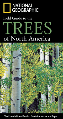 Guide to Trees – Best gifts for tree lovers