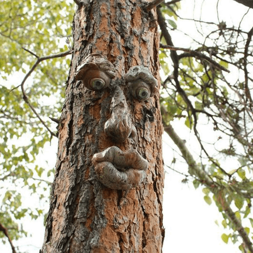 Tree Faces – Cool presents for tree lovers