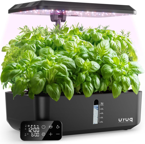 Hydroponic Growing Kit – Living gifts for tree lovers Hydroponic Growing Kit – Living gifts for tree lovers