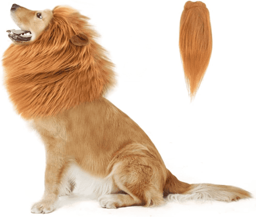 Lion Dog Costume – Lion gifts for pets